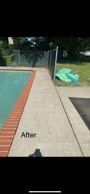 Pandas Precision Pressure Washing