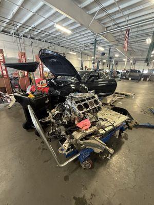 Brandon Reeves Auto World