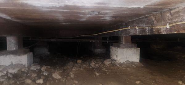 Plus 1 Restoration & Carpet Care