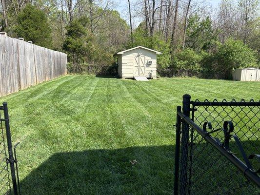 TDL Landscaping & Drainage