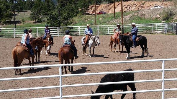 Tucker Black Horsemanship