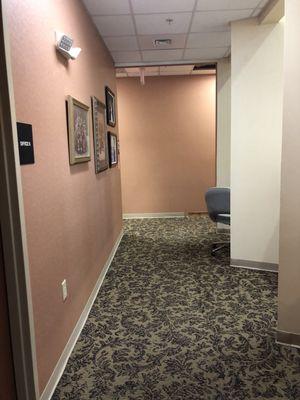 Morgan Morgan & Morgan, DDS PA