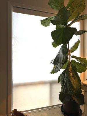 A beautifully repaired solar screen.