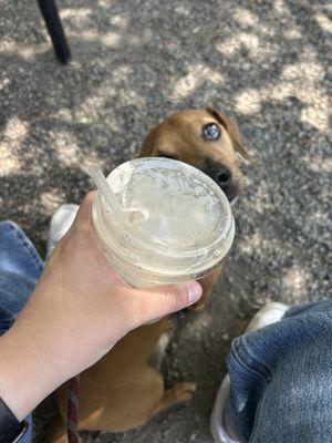 Milfords Daily Grind