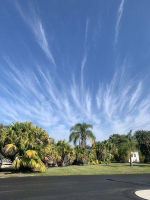 Silver Palms RV Resort