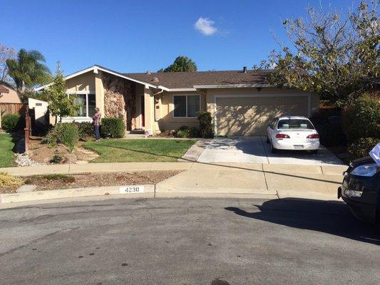 A1 Interiors Decoration