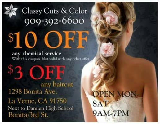 Classy Cuts and Color