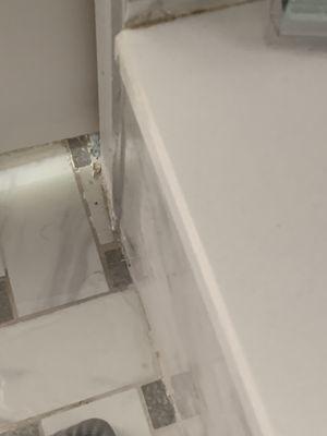 Economy Window Parts