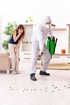 Precision Lawn Care Solutions