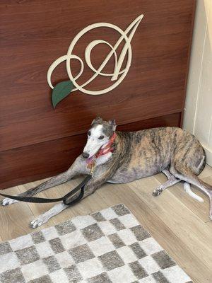 Bahama Mama enjoying the hospitality of Arnaiz Chocolates!