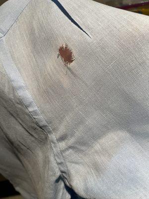 Elite Press Dry Cleaners