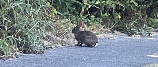 St Edmund's Episcopal Church