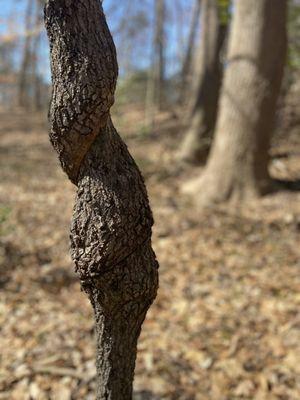 Fairland Recreational Park