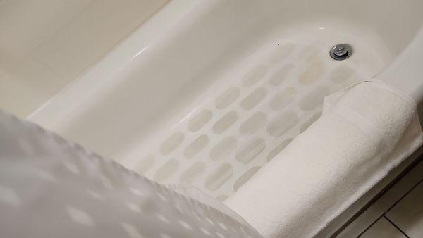 Holiday Inn Express & Suites Tampa -USF-Busch Gardens