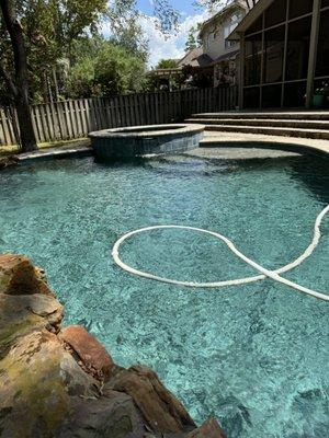 Bottlenose Pool Pros