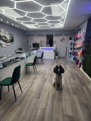 Diamonds And The Ruff