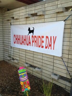 Chihuahua Pride Day
