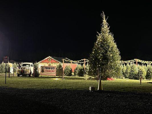 Countryview Farm Nursery