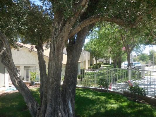 Fairway Manor Apartments