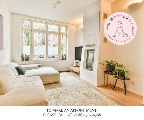 Priscila's Spotless Cleaning