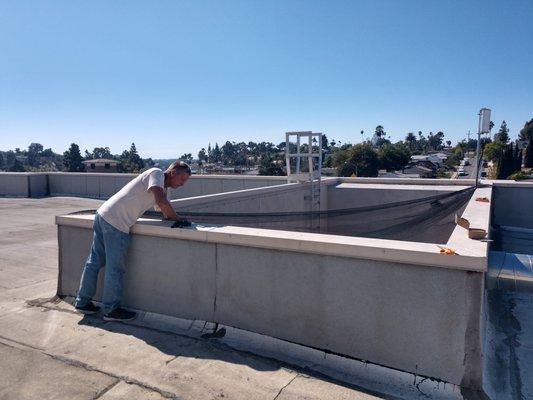 Wildlife Removal Services