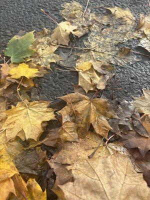 Michael Karr Painting