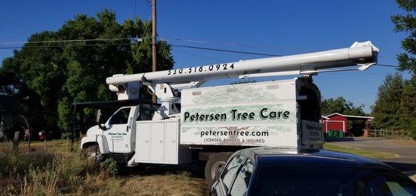 Petersen Tree Care