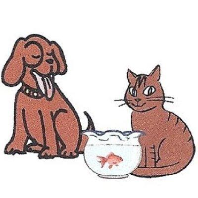 All For God's Creatures Pet Sitting & More