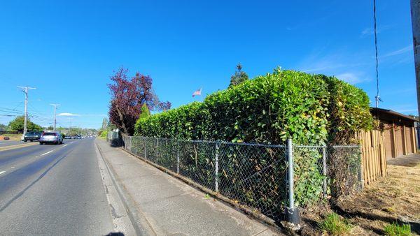 Mr. P's Lawn Care Service