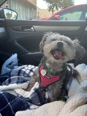 TLC Pet Hospital