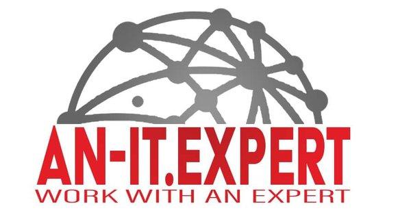 An IT Expert