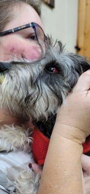 All About Dogs...and Cats Pet Spa & Boarding Resort