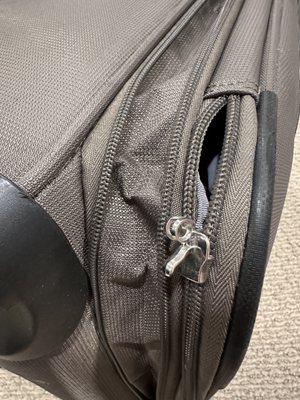 Andare Luggage