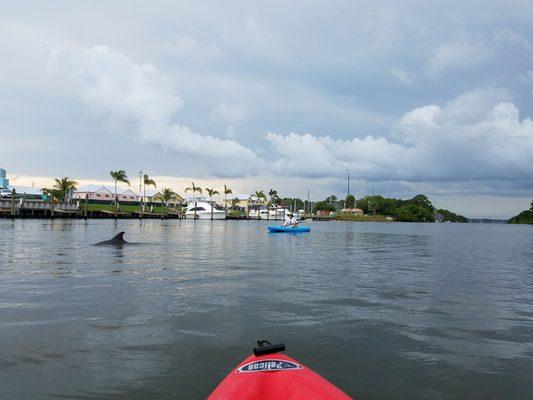 Florida Water Sports