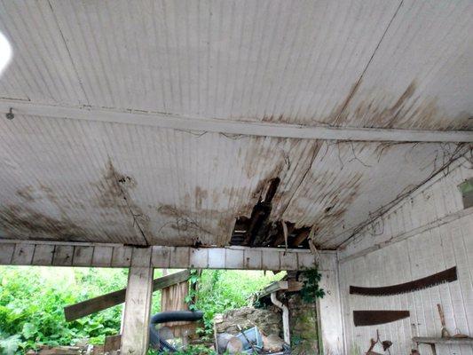 Rabid Beaver Enterprises