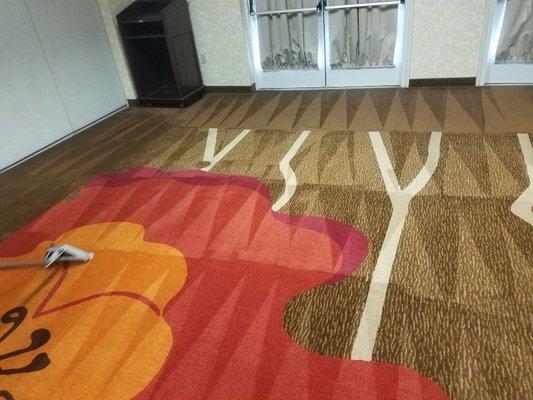 Carpet Tech Solutions