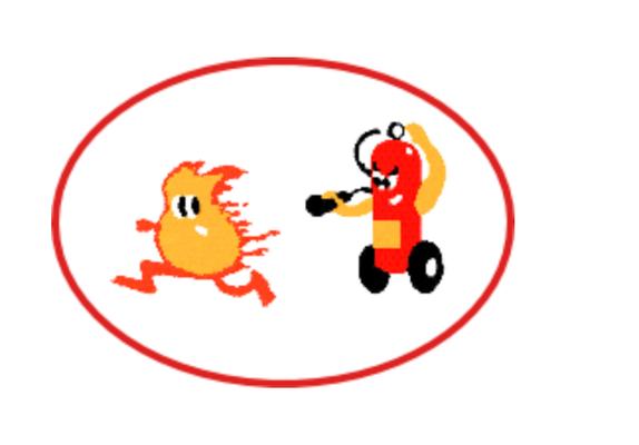 Fire Sentry Protection Services