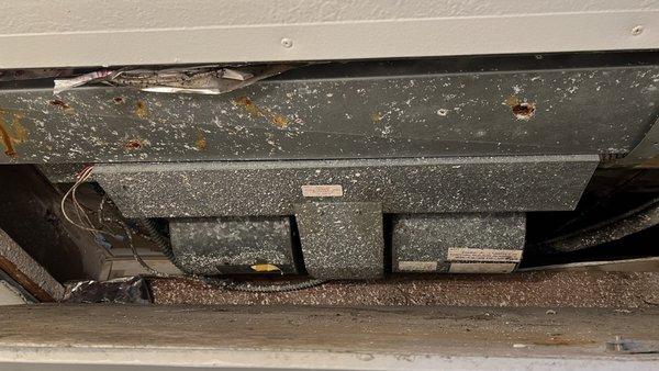 Borgata At Alta Loma