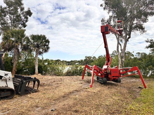 Tree removal (invasive)
Land - cleaning
