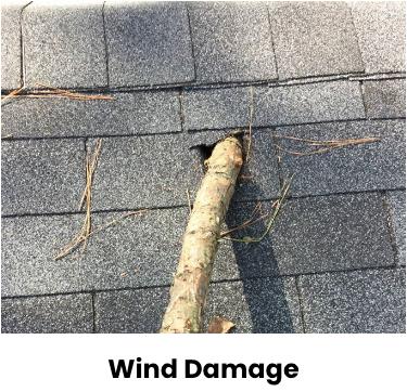 wind damage