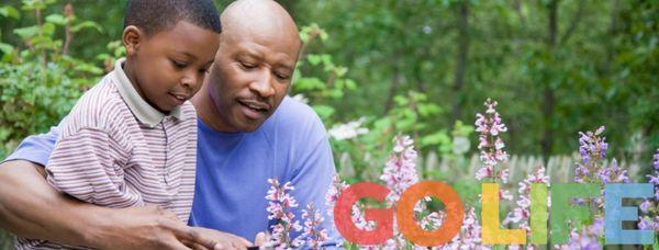 Saint Luke's Cancer Specialists-Plaza