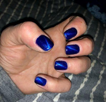 Cat eye gel, Mani @ Roses