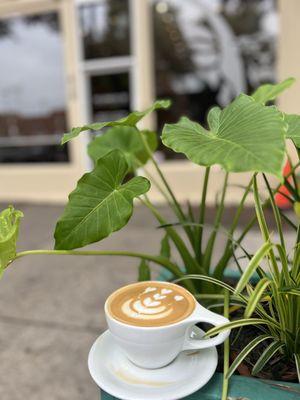 Mudhouse Specialty Coffee Roasters