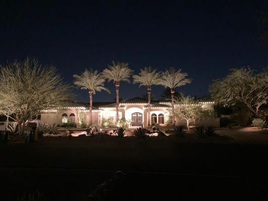 Custom Landscape Lighting
