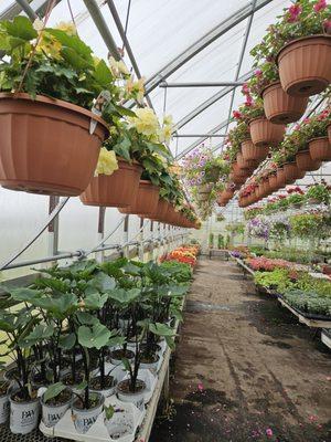 Stone Bros Farm & Greenhouse