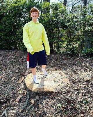 Arborscapes/SavATree