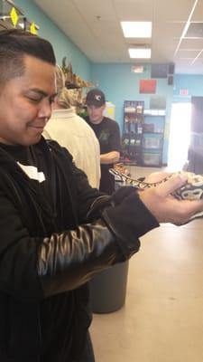 Holding a Royal Python...the correct name for a Ball Python