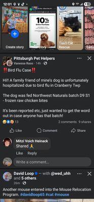 Bird flu case not safe
