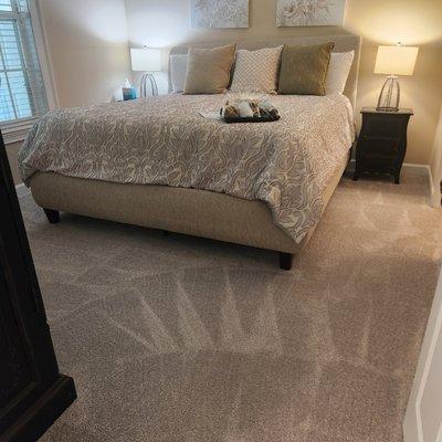 Petronia House Cleaning