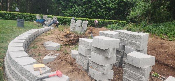 Spring Time & Landscape